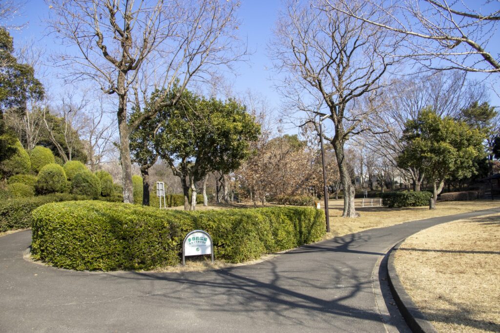 愛知県稲沢市の木曽川祖父江緑地