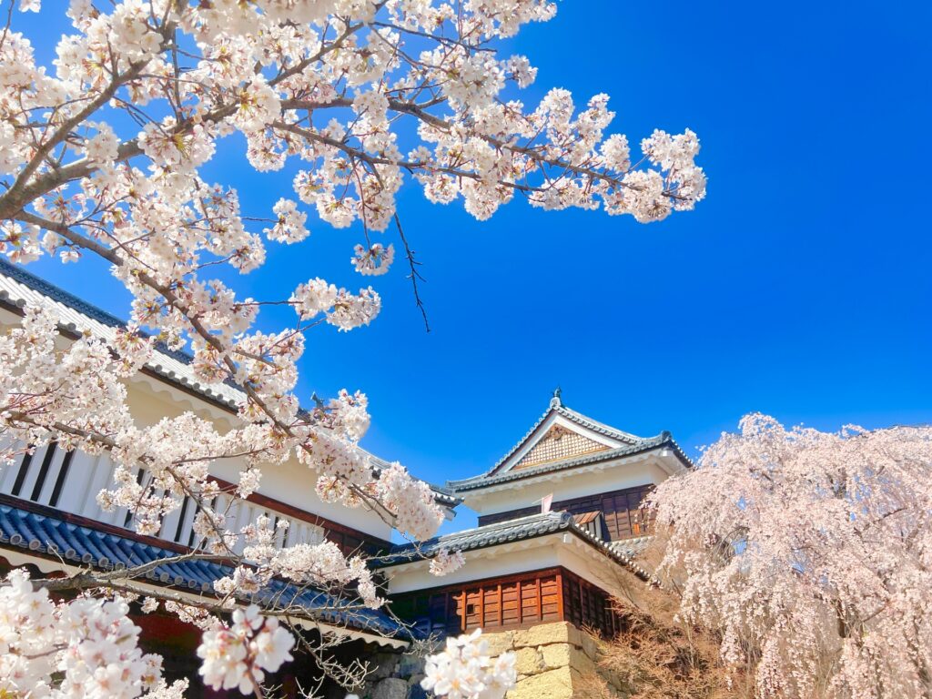 上田市の上田城跡