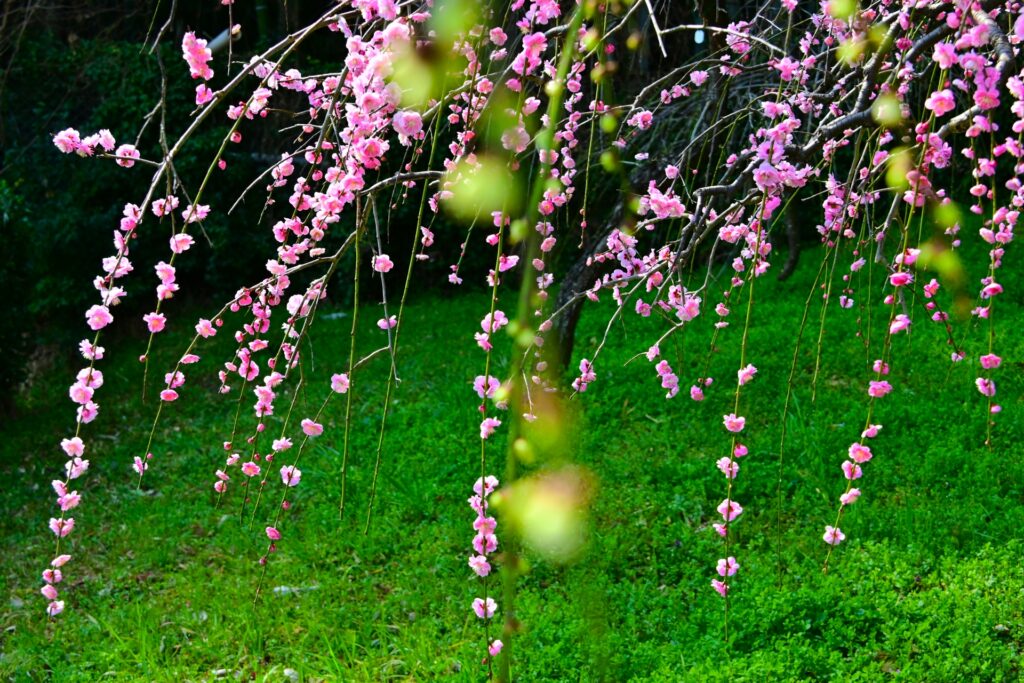 天白区の天白公園