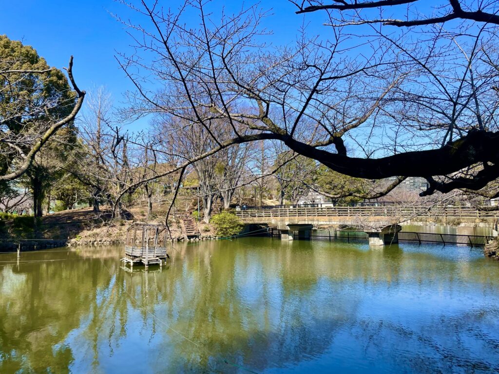 相模原市中央区の鹿沼公園の池