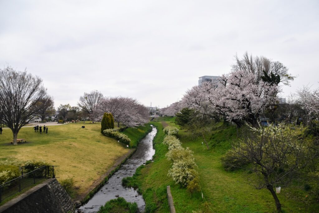 神奈川県海老名市の相模三川公園 神奈川県海老名市の相模三川公園