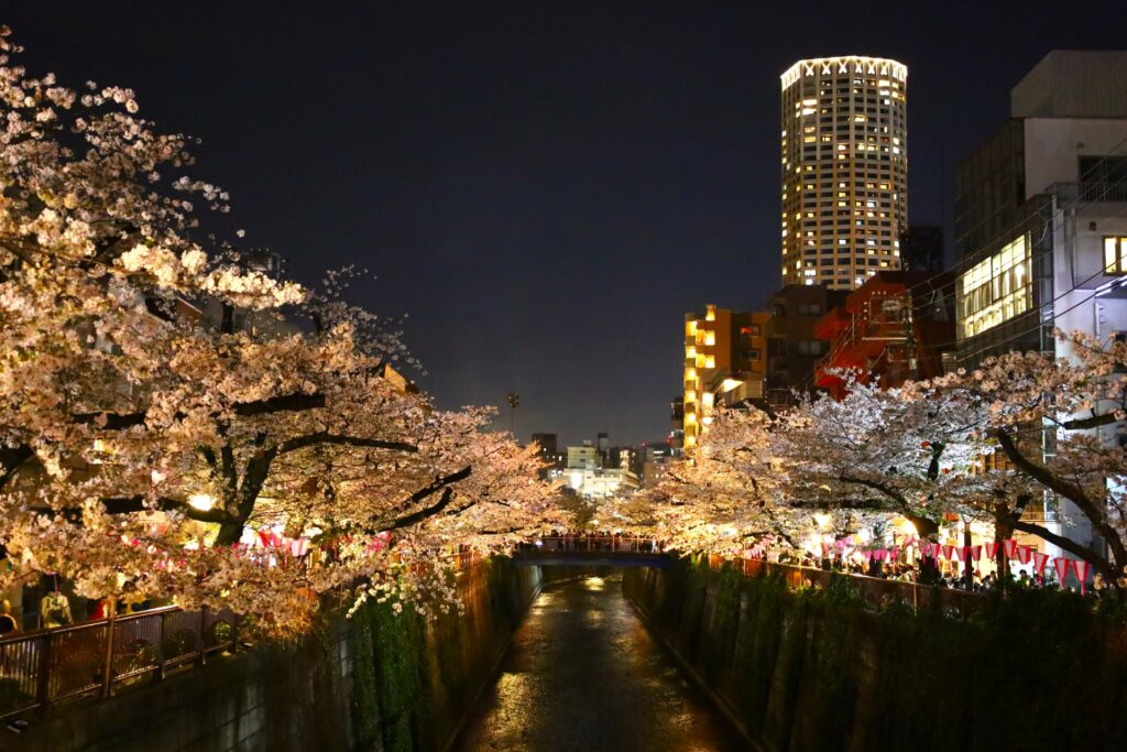 目黒区の中目黒桜まつり