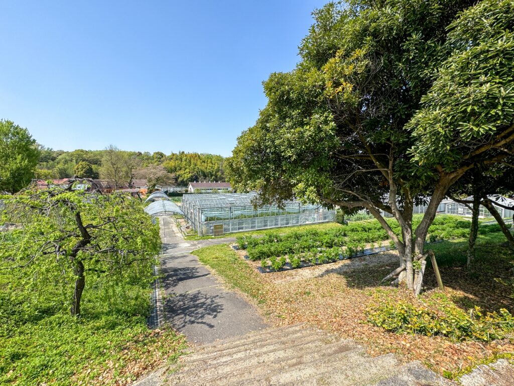 天白区の里山景観