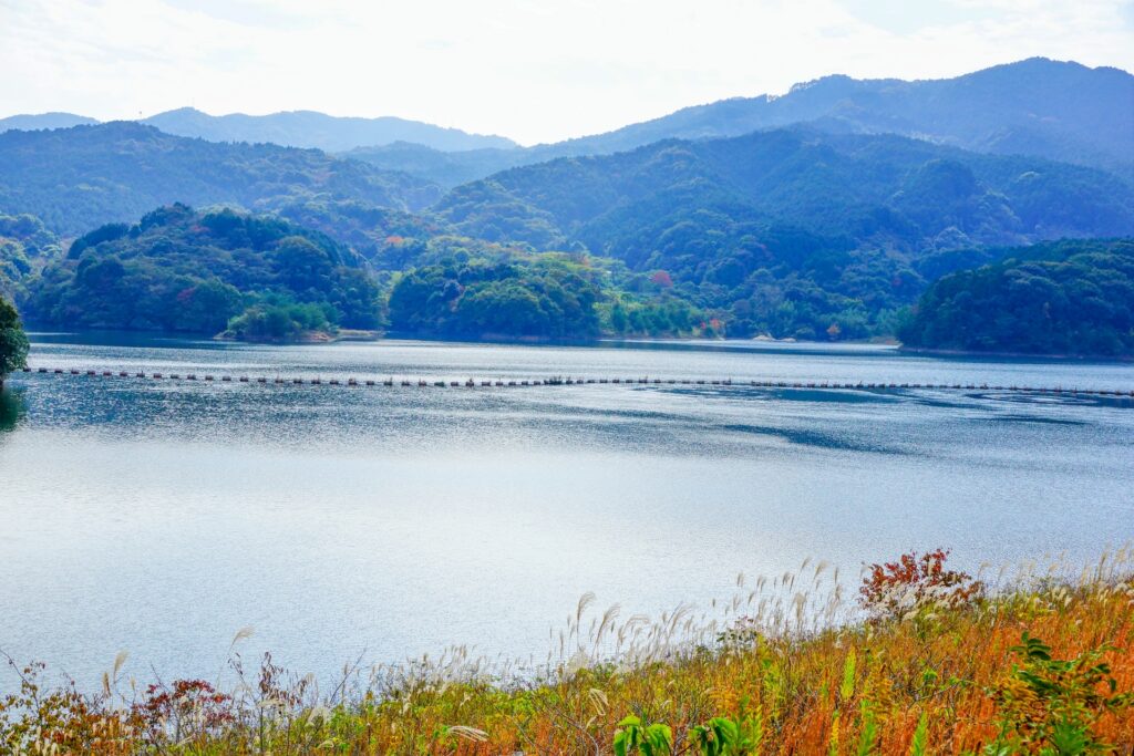 大野城市の牛頸ダム湖畔の散策道