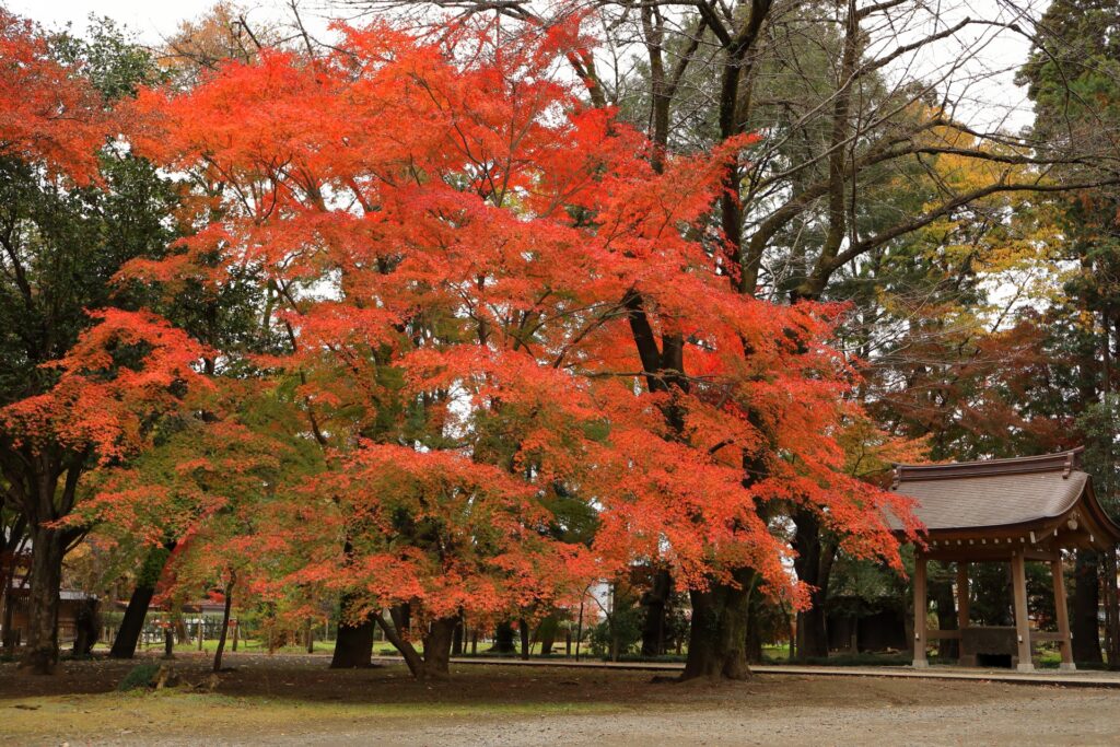 住之江区の平林寺