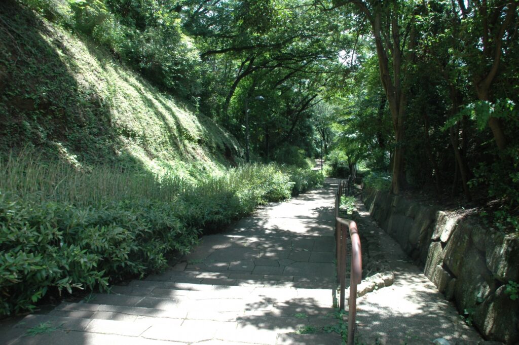 横浜市保土ケ谷区の水の坂道