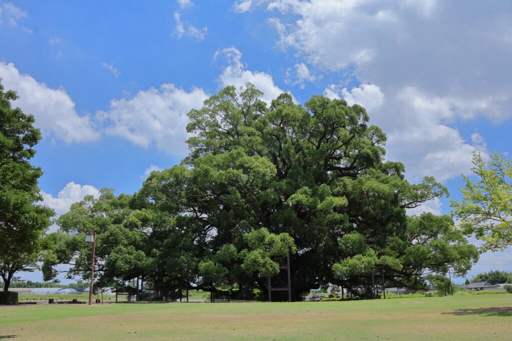 熊本市北区の公園