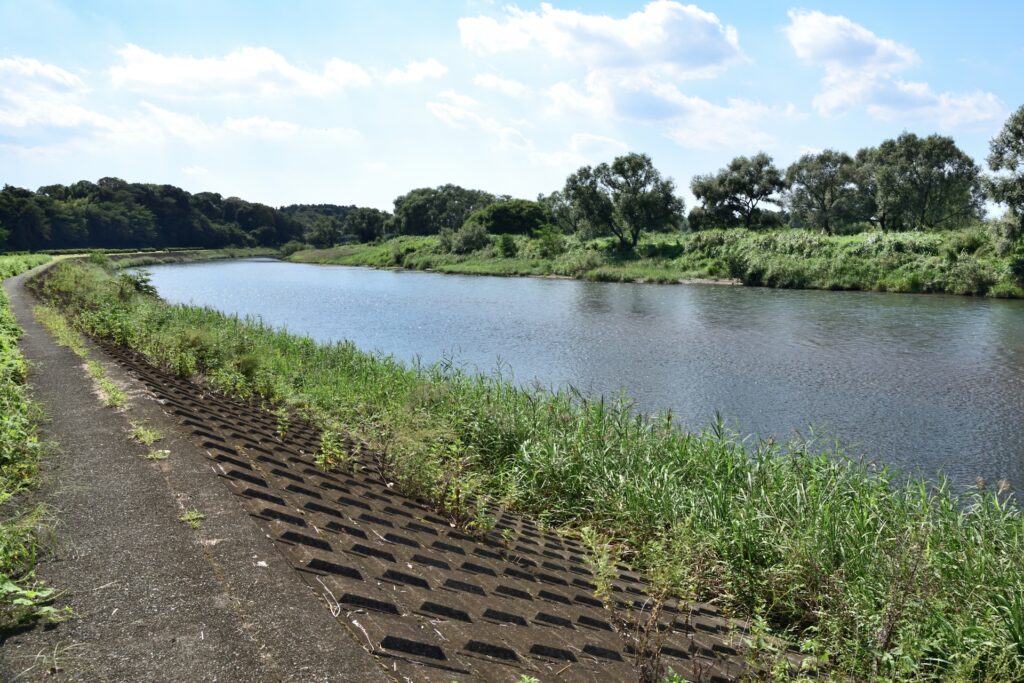 天白区の川沿い