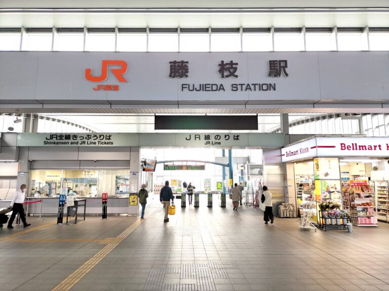 静岡県藤枝市で歴史と自然を歩く街旅 蓮華寺池公園・志太郡衙跡・朝ラーメン文化 | 街角タイムス