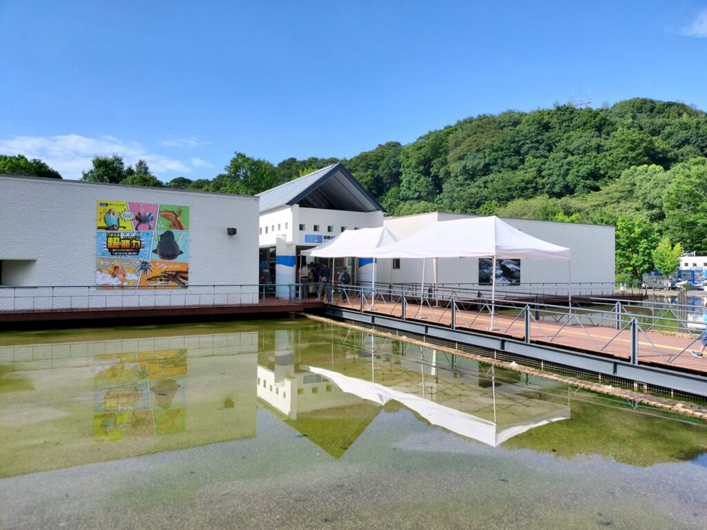 相模原市中央区のアクアリウムさがみはら