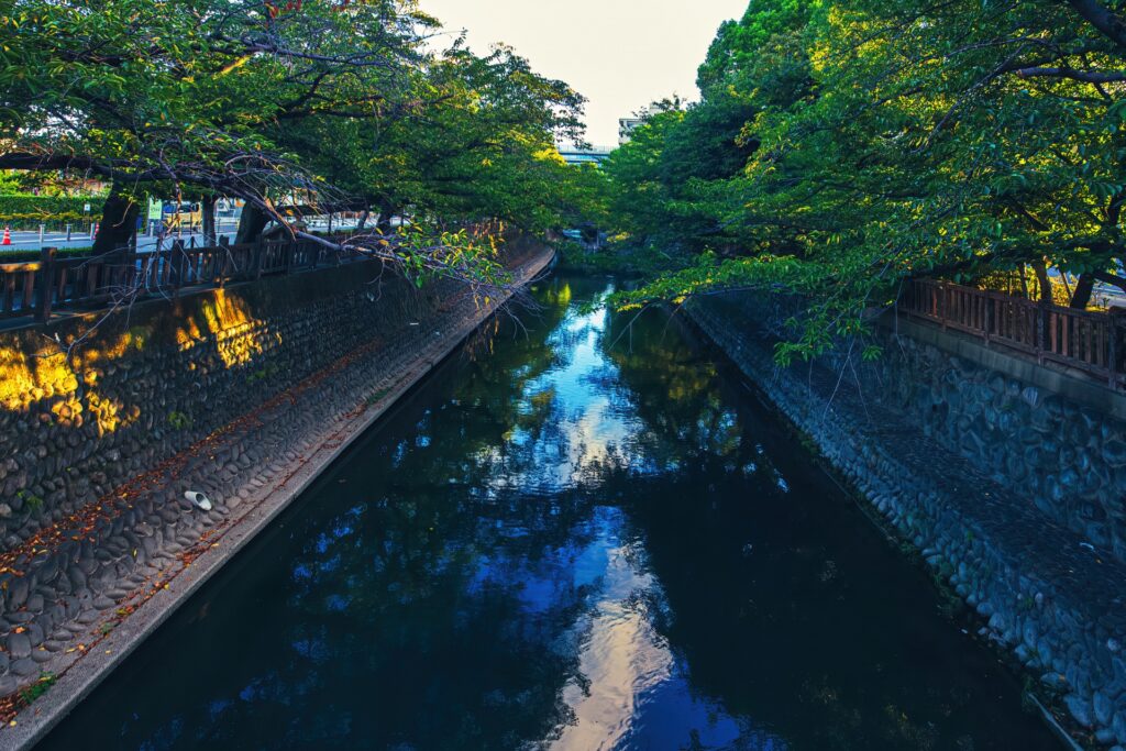岐阜県大垣市の水門川と緑