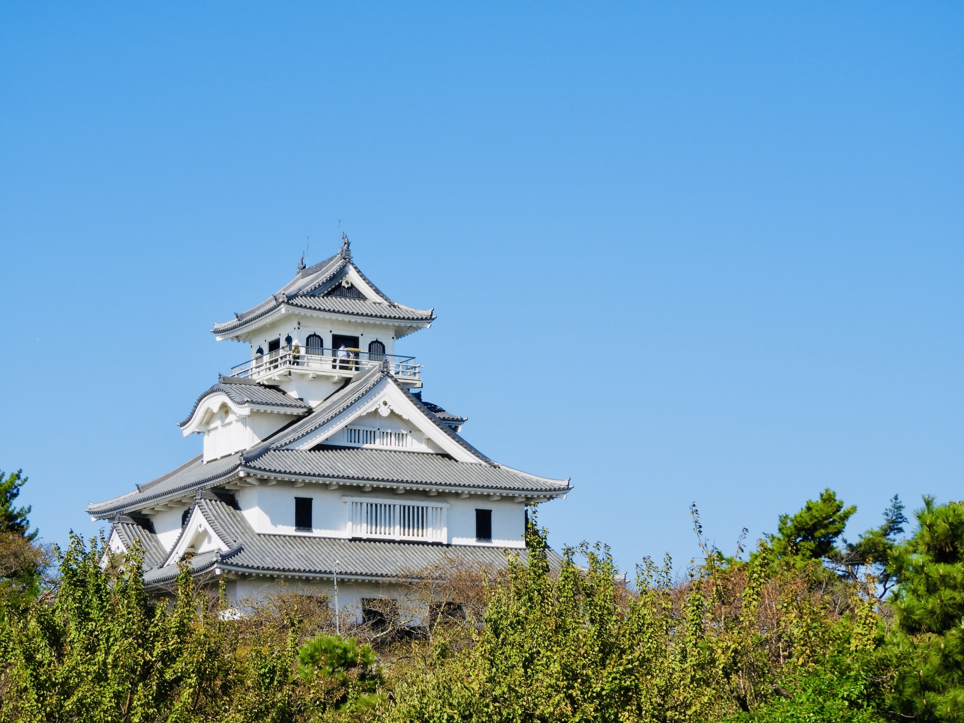 滋賀県長浜市の長浜城