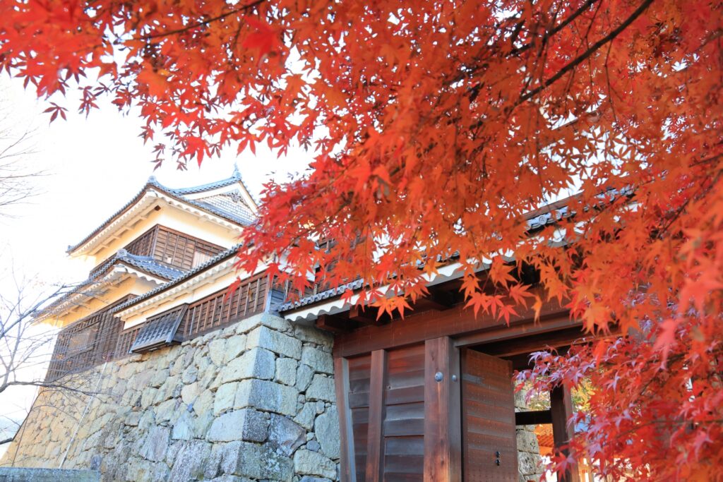 上田市の上田城の紅葉