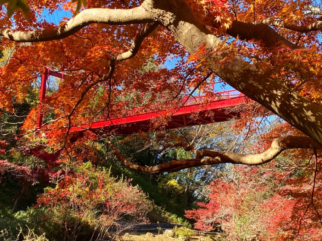 千葉市若葉区の泉自然公園