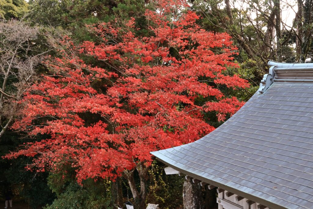 筑紫野市の天拝山