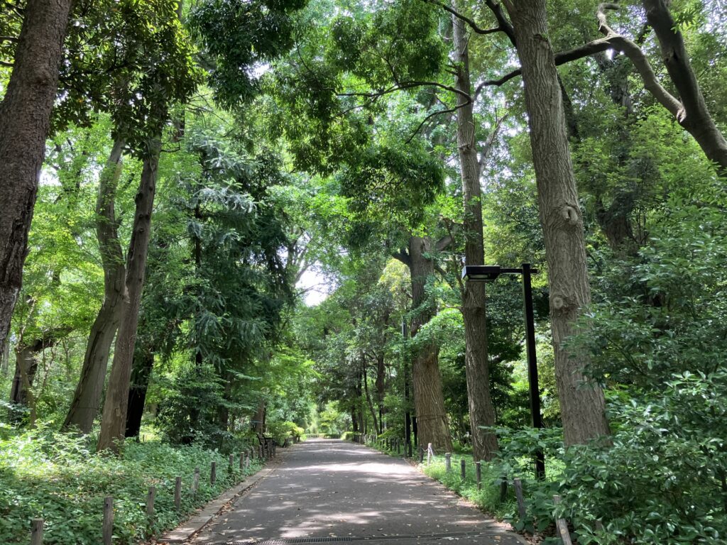 目黒区の林試の森公園