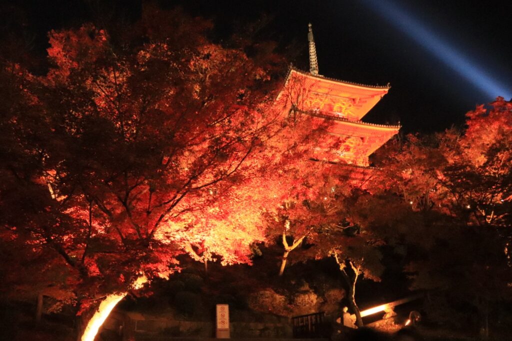 愛知県名古屋市の八事興正寺 秋の紅葉まつりのライトアップ