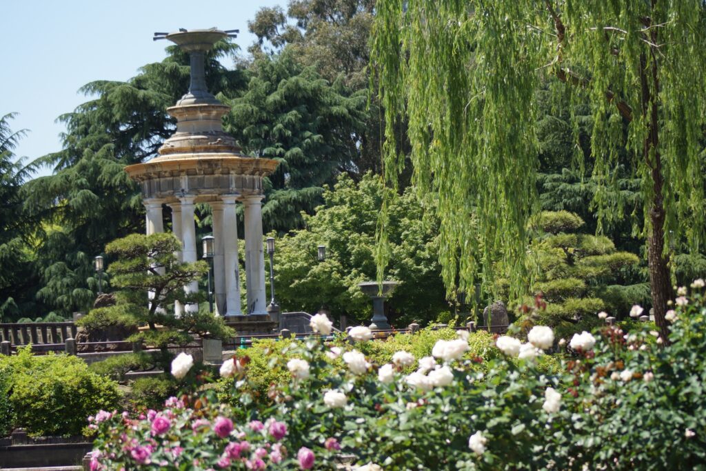 愛知県名古屋市の鶴舞公園のバラ園と噴水