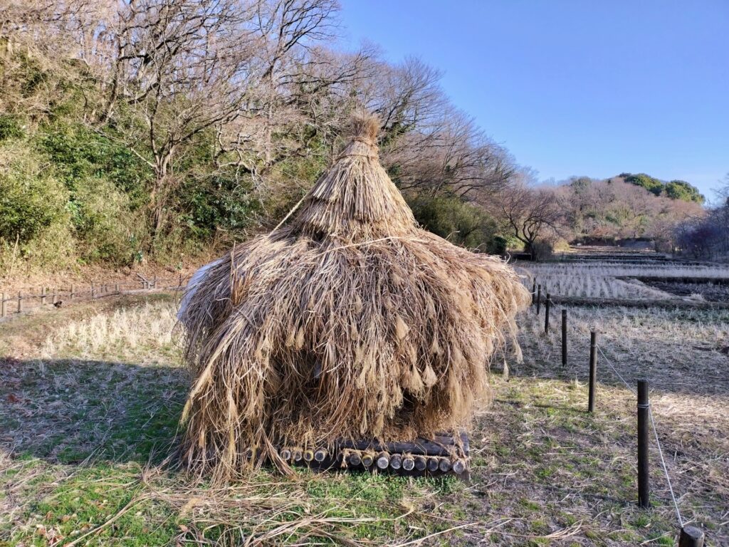神奈川県横浜市の舞岡公園の田園風景