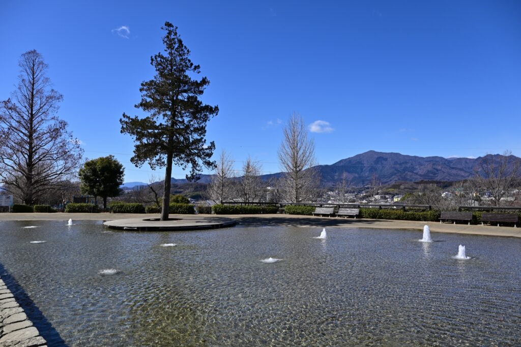 厚木市ぼうさいの丘公園