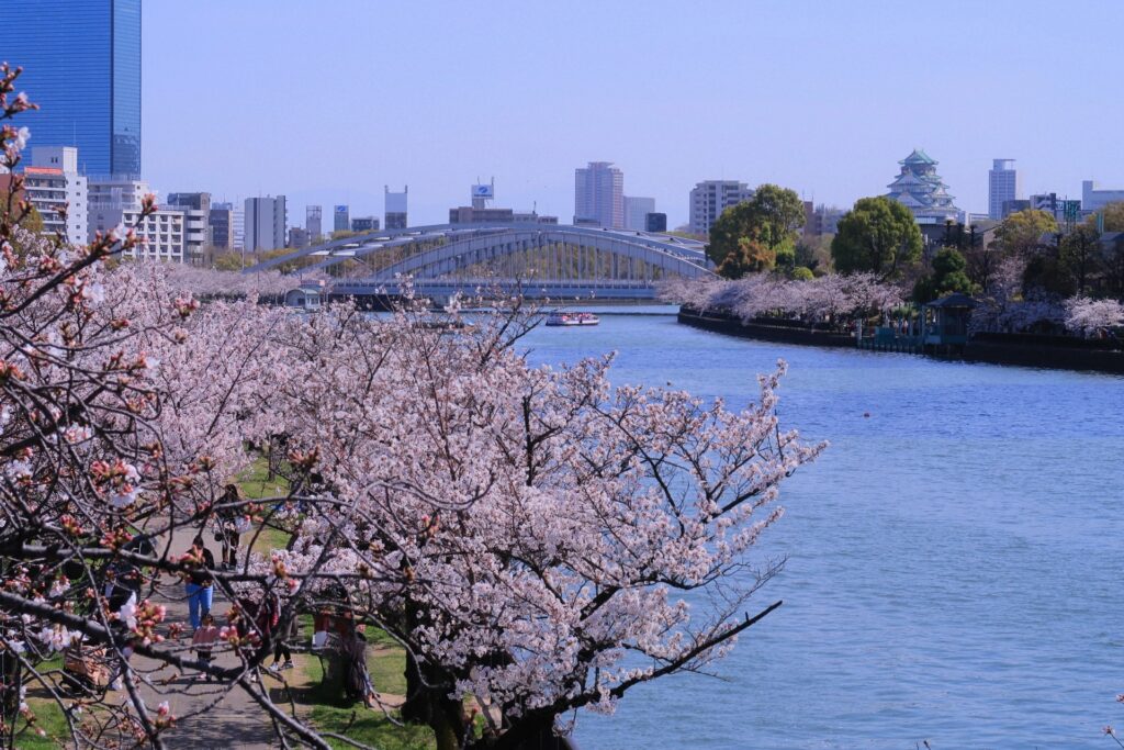 大阪市都島区の大川沿い桜並木