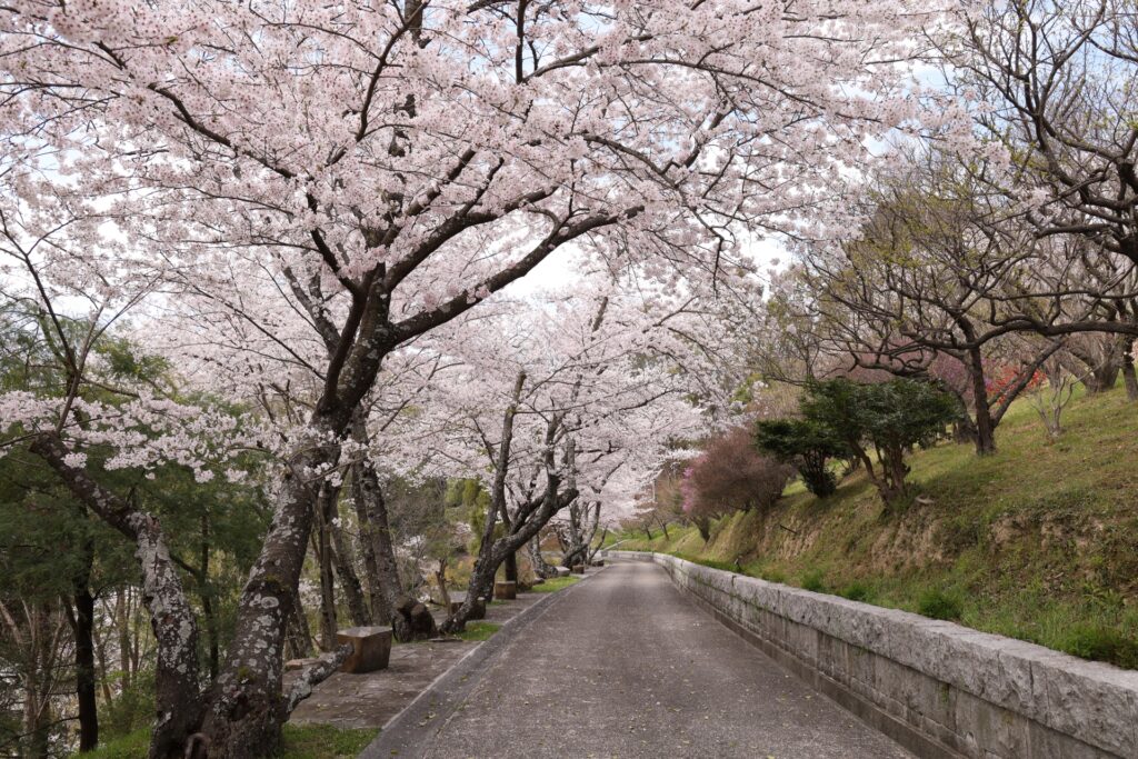 北区の半田山植物園