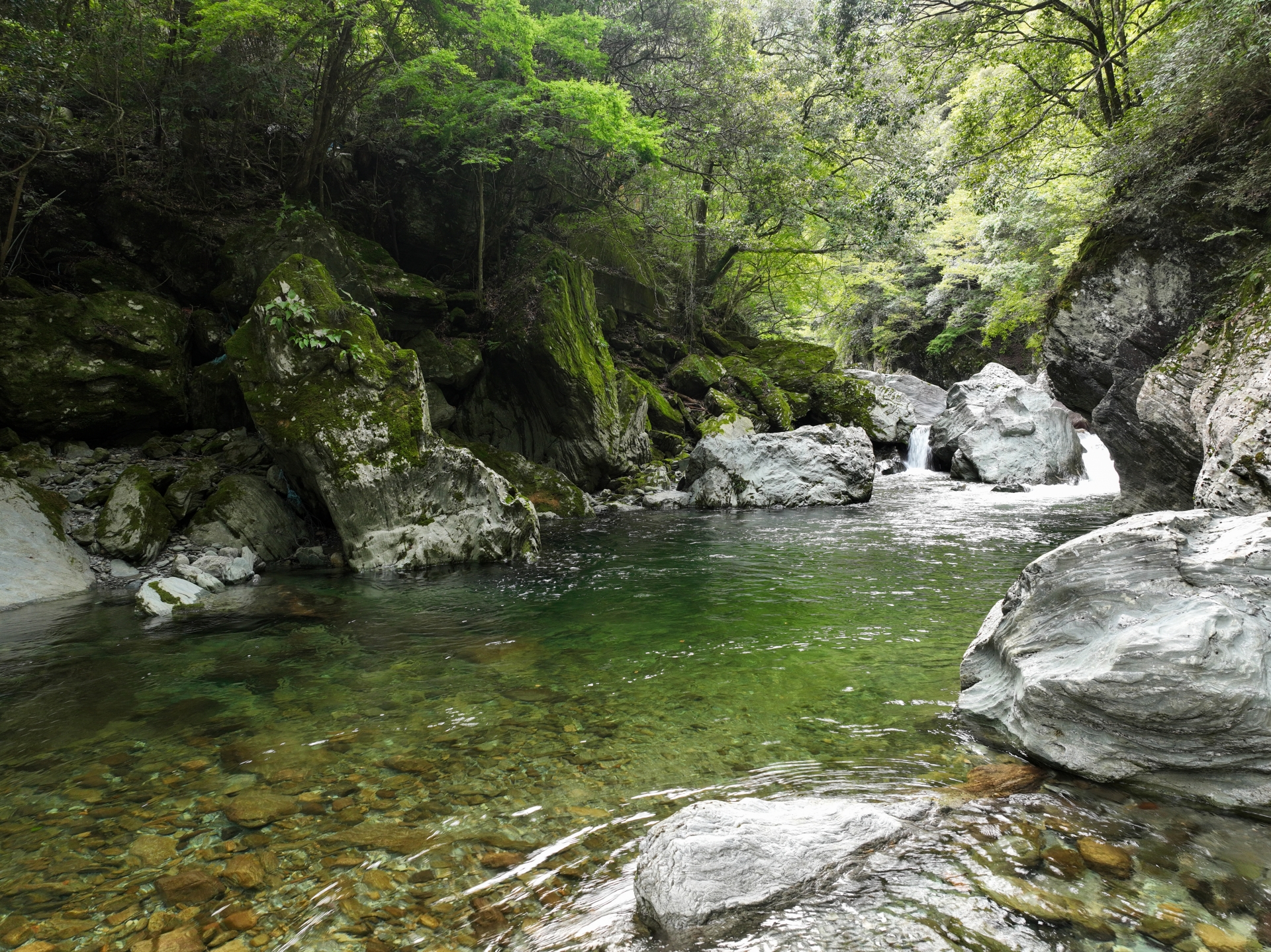 西条市の川
