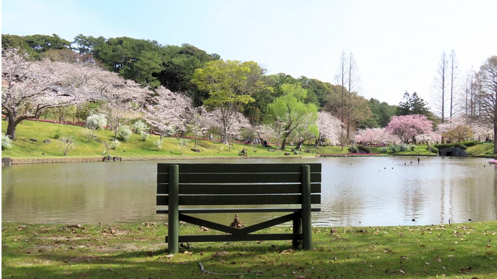 刈谷市の小堤東公園