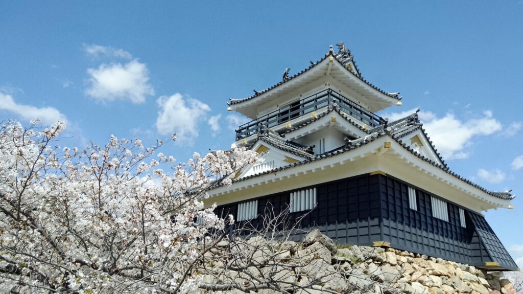 浜松城と桜 浜松市中央区の浜松城