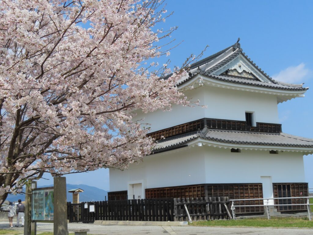 三重県桑名市の桜と城