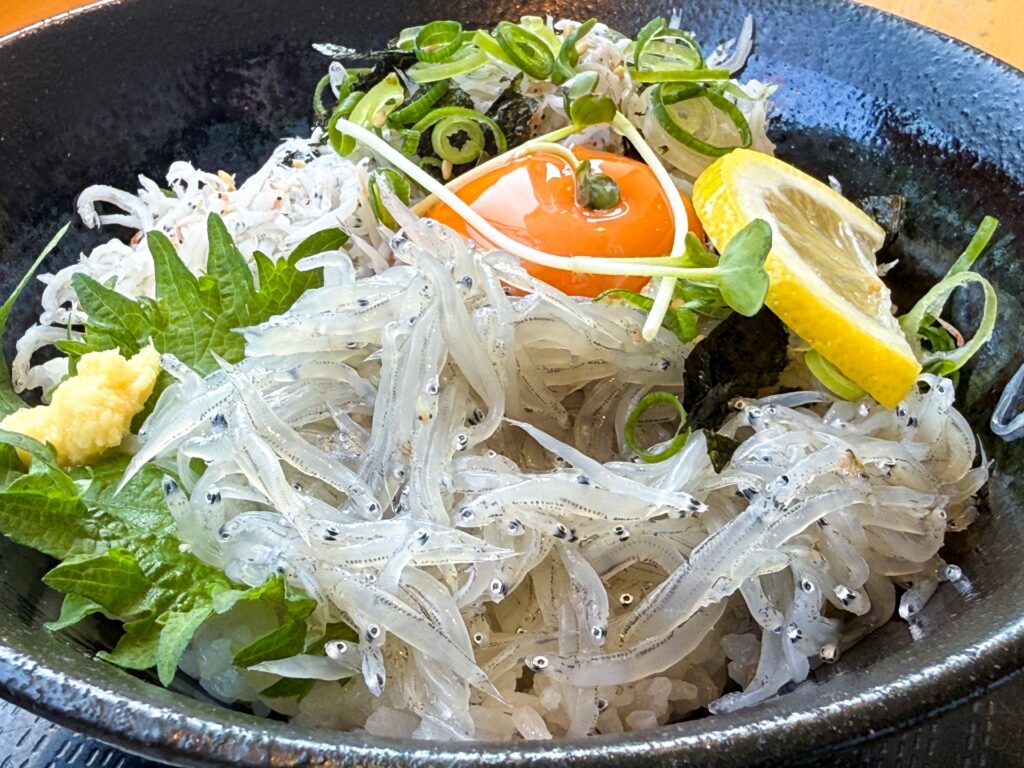 静岡県静岡市駿河区の生しらす丼 静岡県静岡市駿河区の生しらす丼