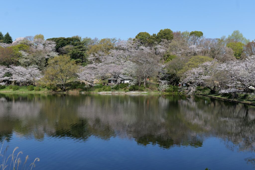 神奈川県横浜市鶴見区の三ッ池公園
