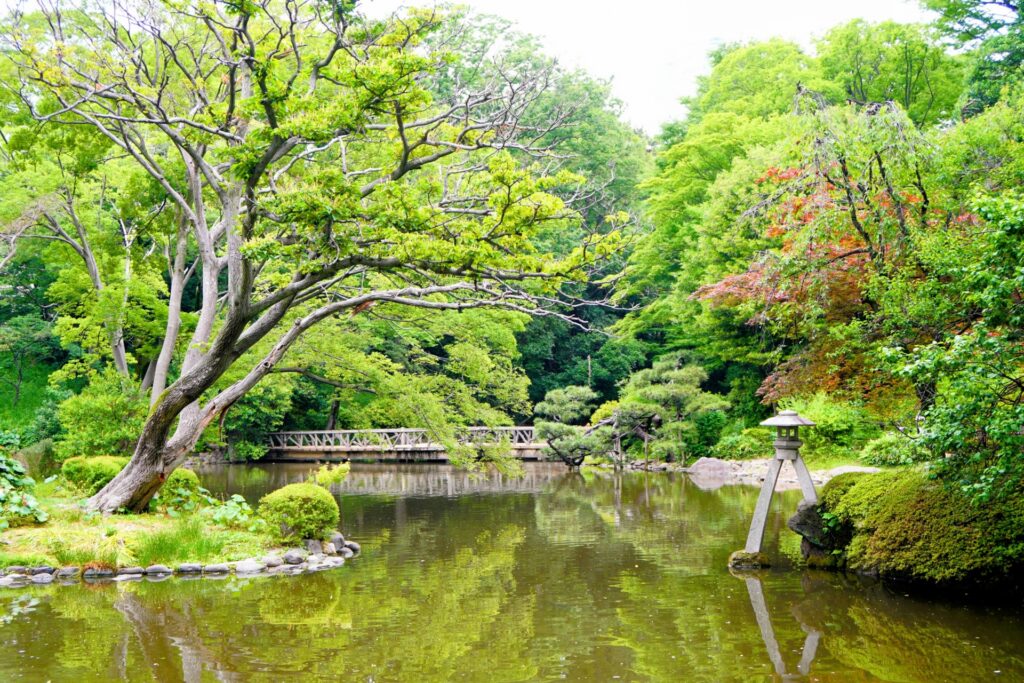 渋谷区の有栖川宮記念公園