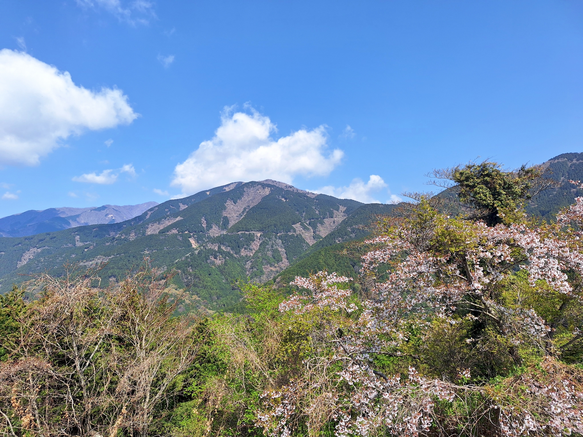 秦野市丹沢の山並み