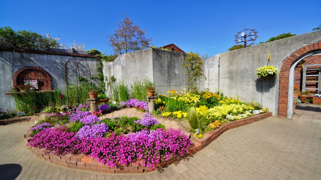 福岡市東区の海の中道海浜公園の花畑と芝生広場