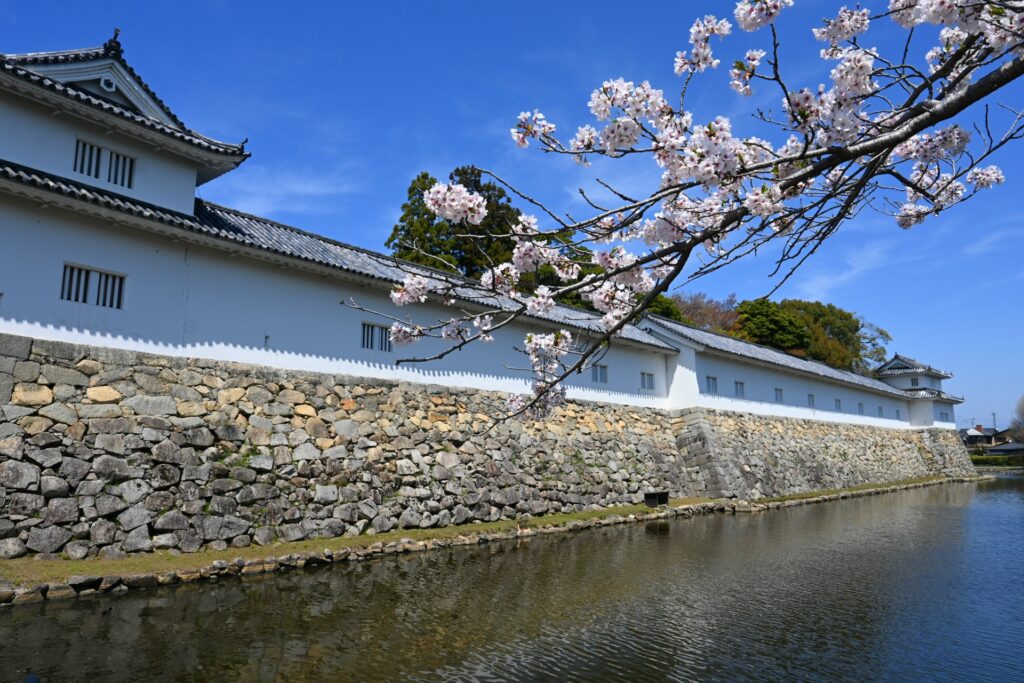 滋賀県彦根市の彦根城のお堀