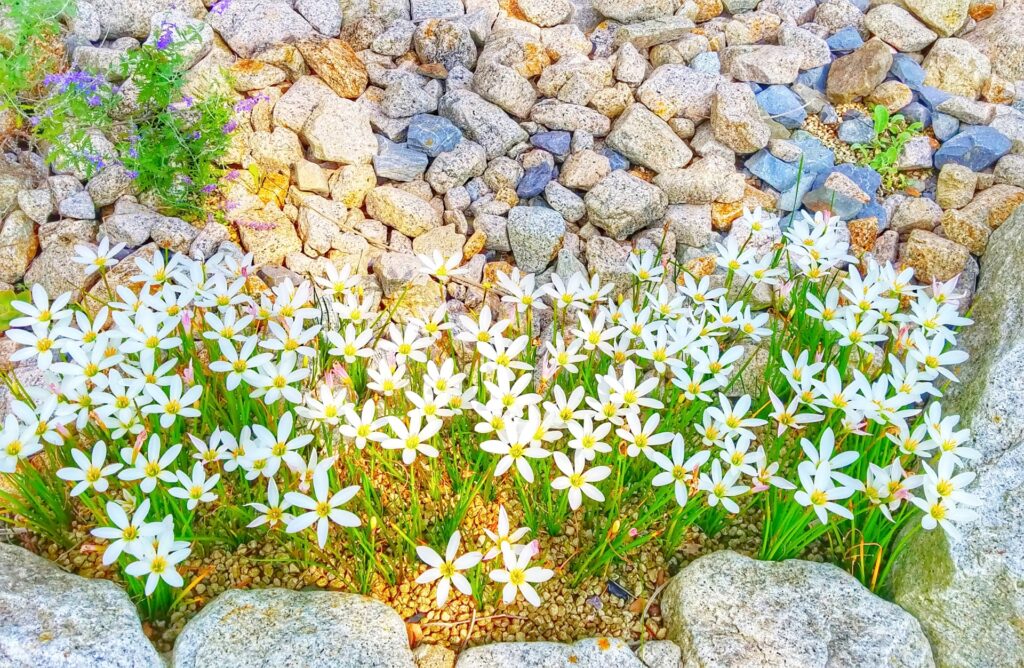 千葉市美浜区の花の美術館