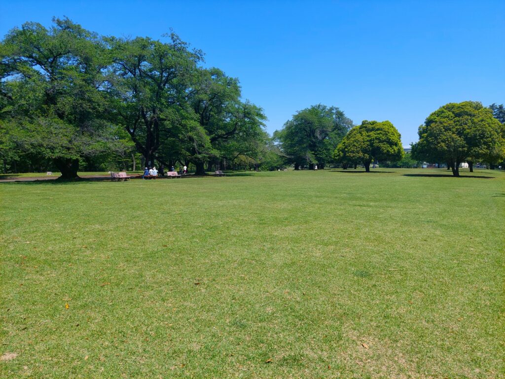 錦織公園の自然と芝生広場 富田林市の錦織公園