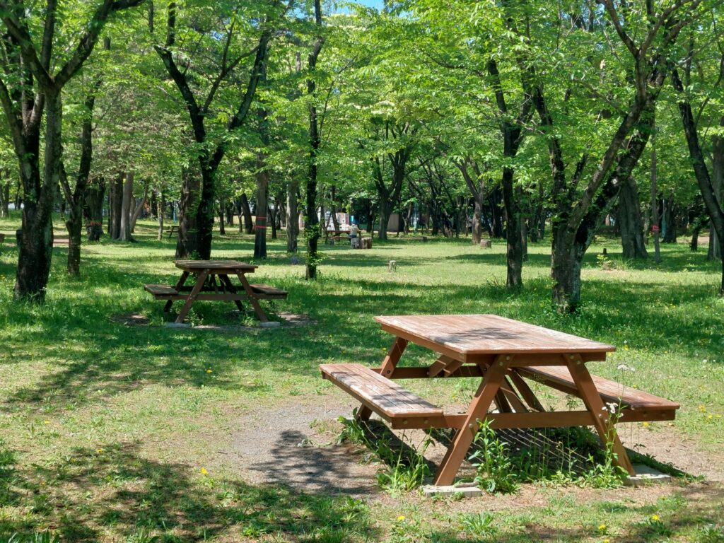 小牧市の四季の森
