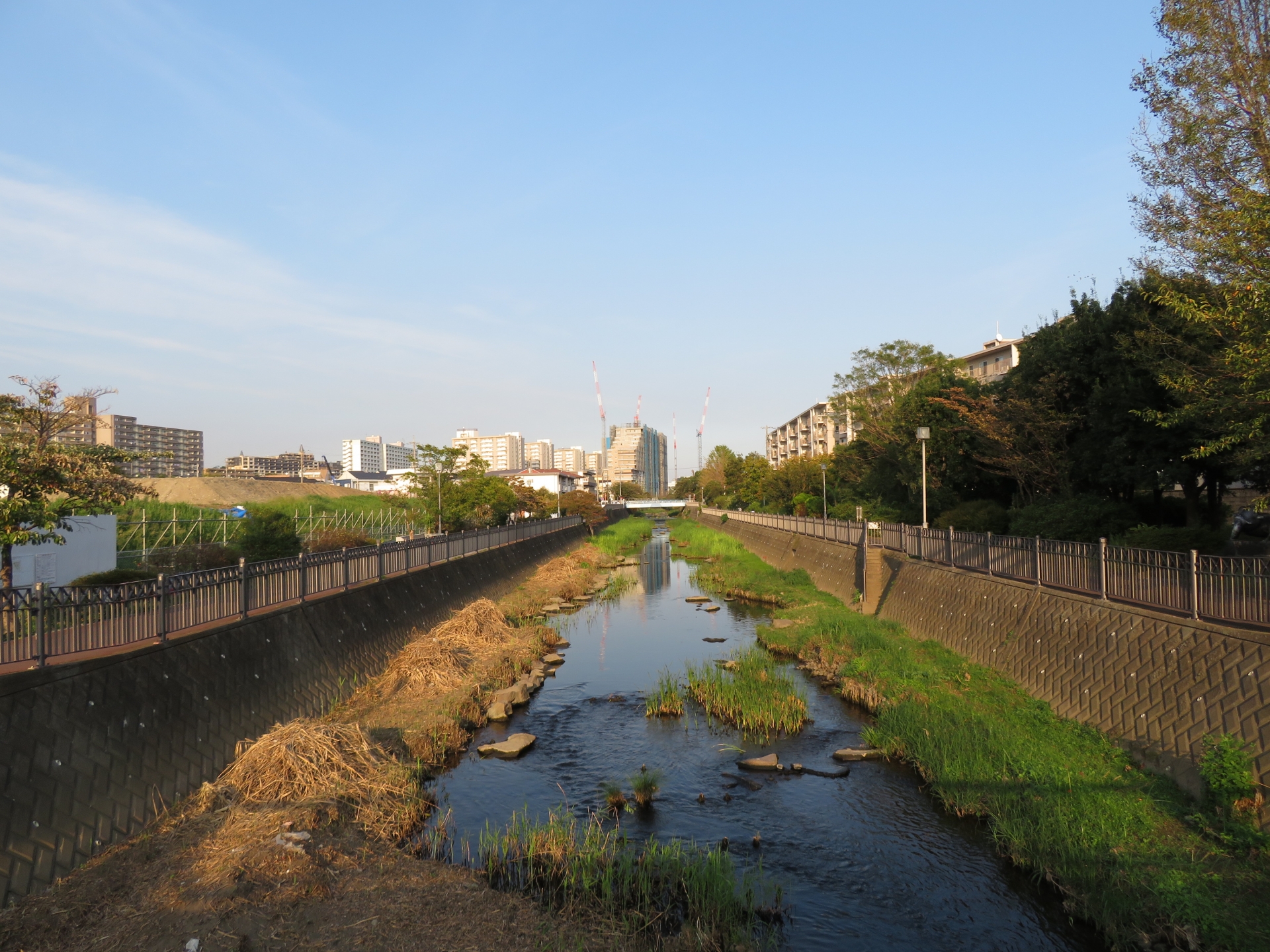 横浜市栄区の川