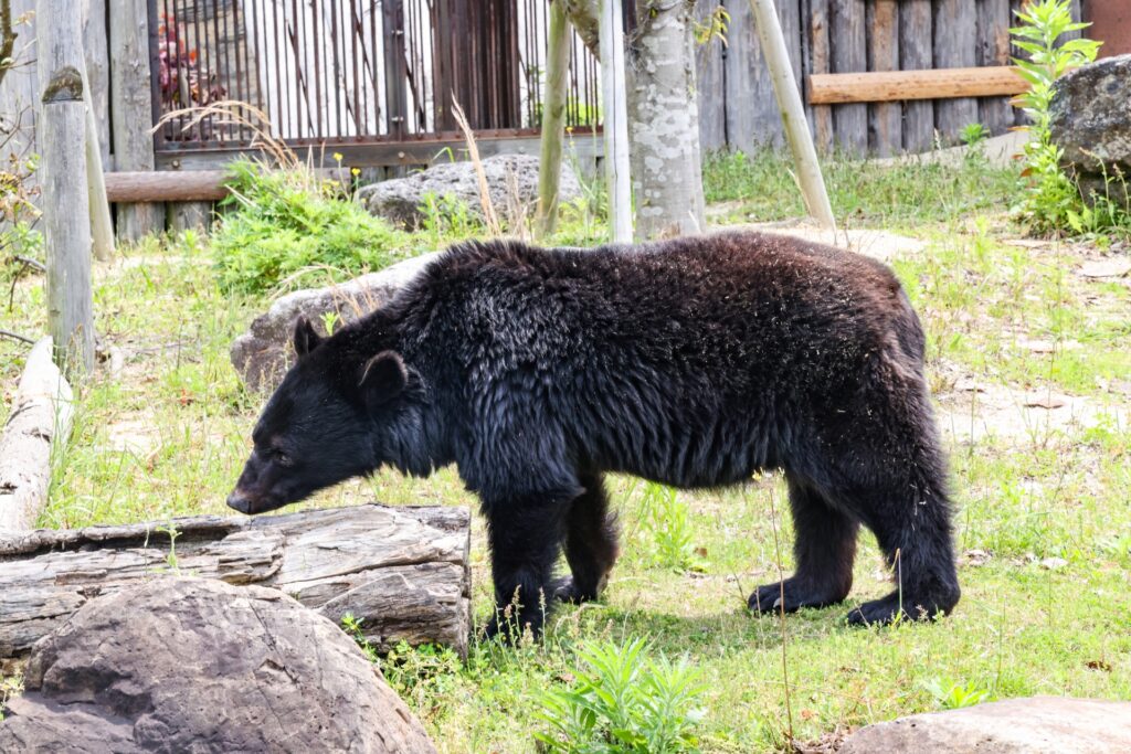 佐世保市の森きらら