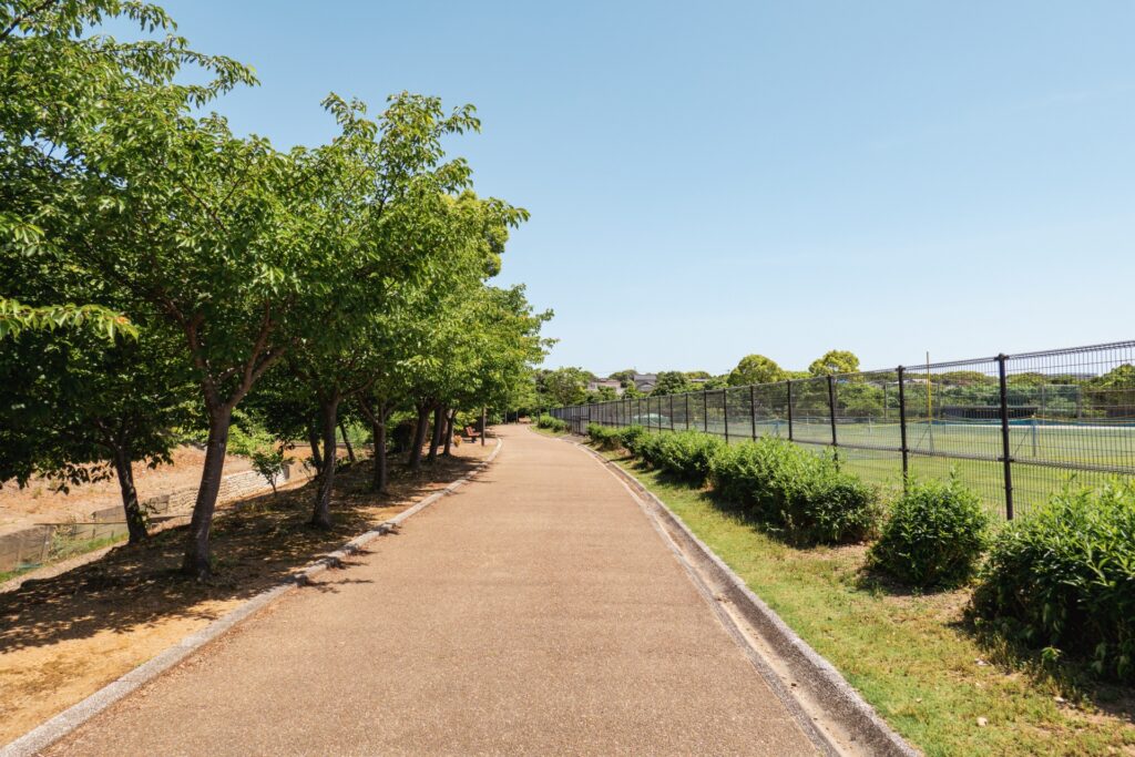 公園の遊歩道