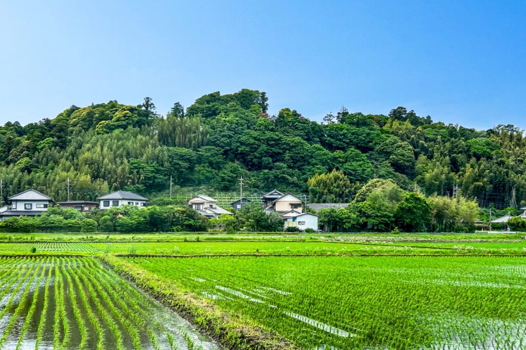 神戸市西区の田園地帯