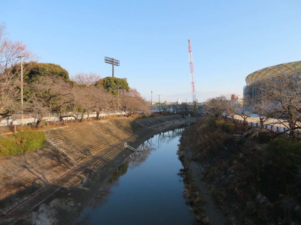 愛知県名古屋市の山崎川の散策道