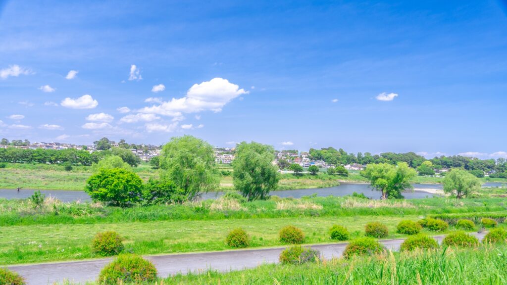 東京都昭島市の多摩川河川敷