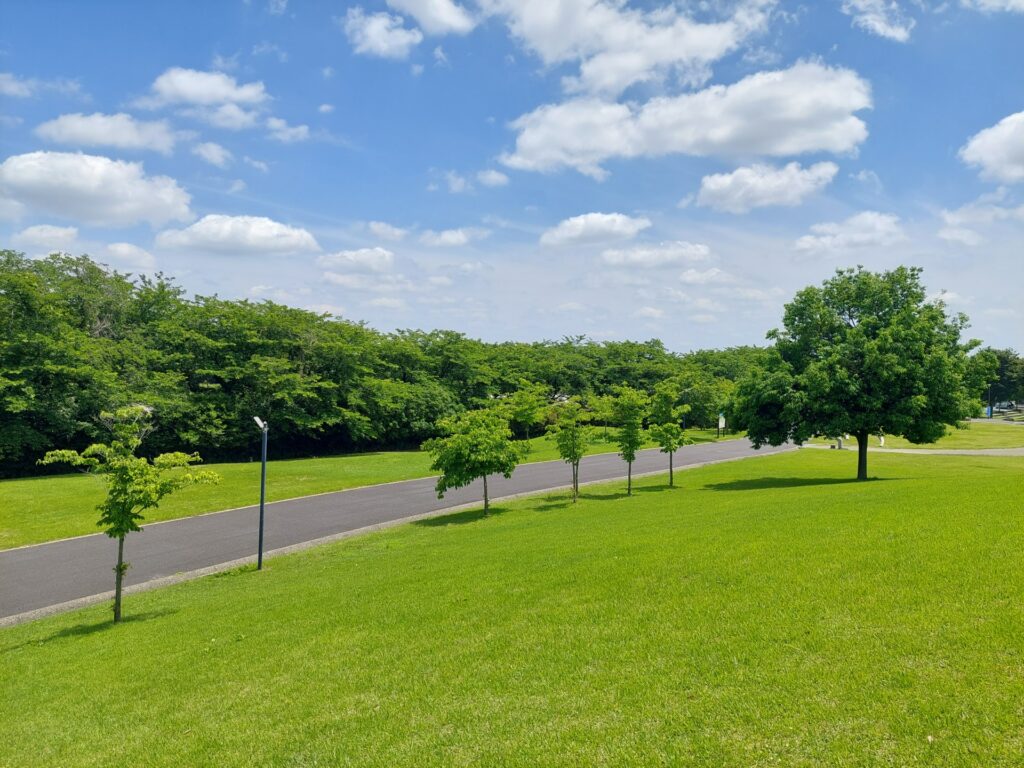 神奈川県横浜市神奈川区の緑地公園