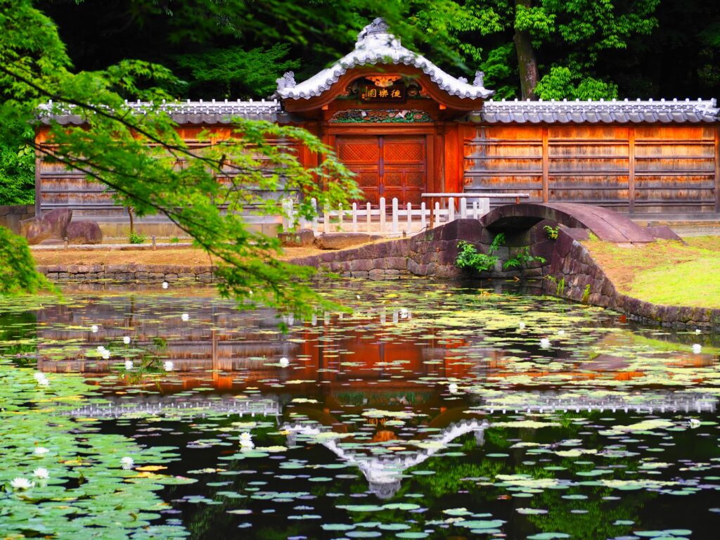 品川区の朝日に照らされた小石川後楽園の池と緑 
