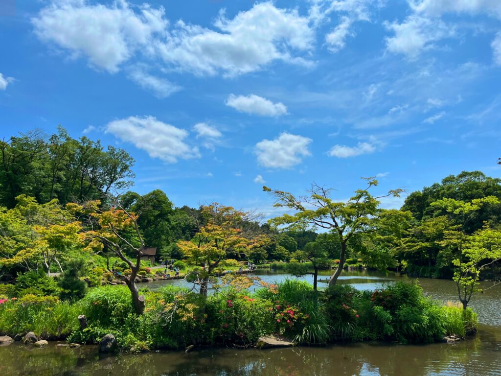 横浜市のこども自然公園