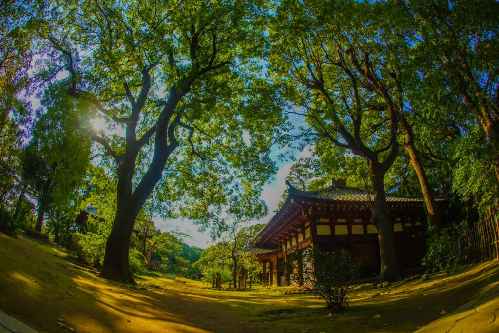 中野区の哲学堂公園