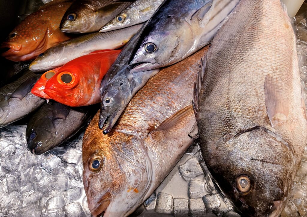 鮮魚の写真 堺市堺区の大魚夜市